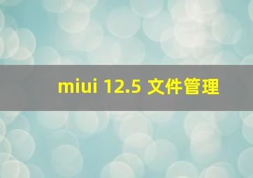 miui 12.5 文件管理